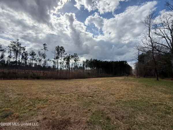 $299,000 | Cutts Road, Ackerman, MS 39735