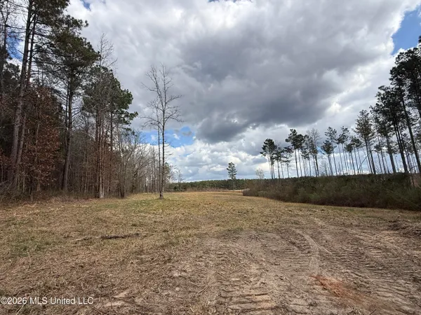 $299,000 | Cutts Road, Ackerman, MS 39735