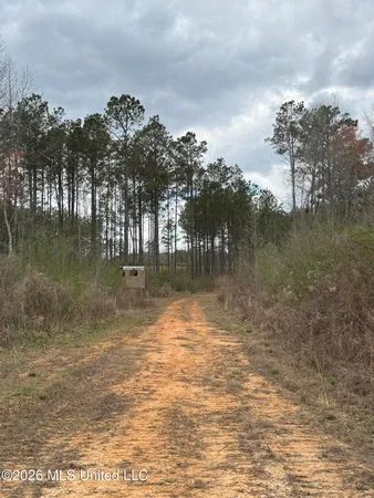 $299,000 | Cutts Road, Ackerman, MS 39735