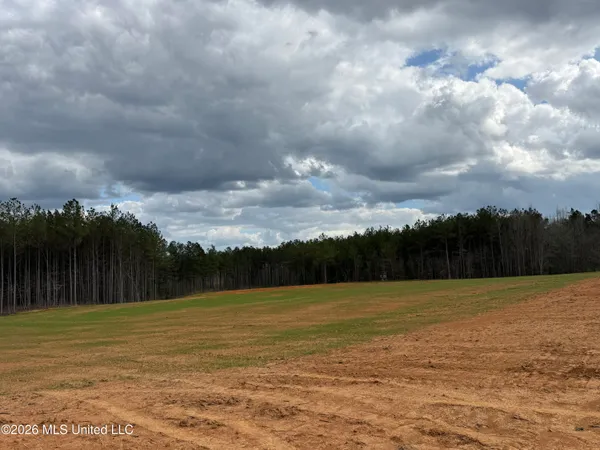 $299,000 | Cutts Road, Ackerman, MS 39735