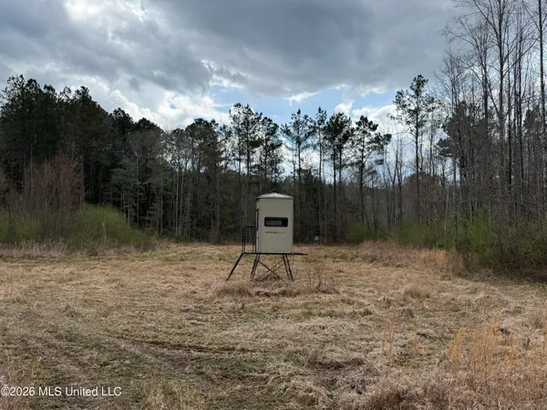 $299,000 | Cutts Road, Ackerman, MS 39735