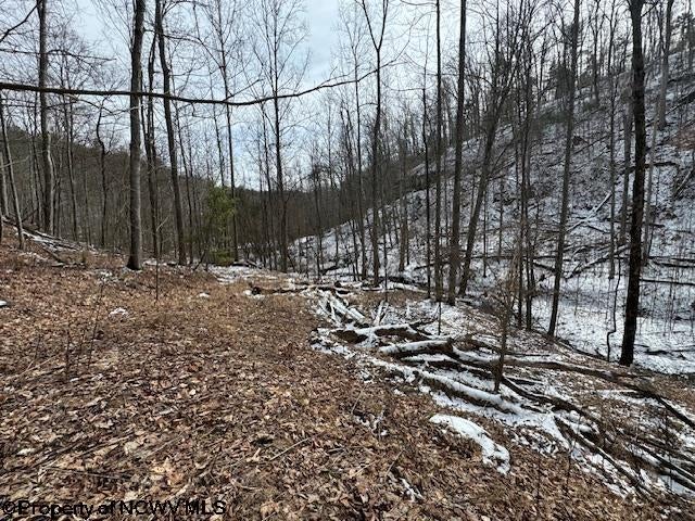1 Spruce Run Poca, WV 25159 - Photo 31 of 38 Gallery Image 31