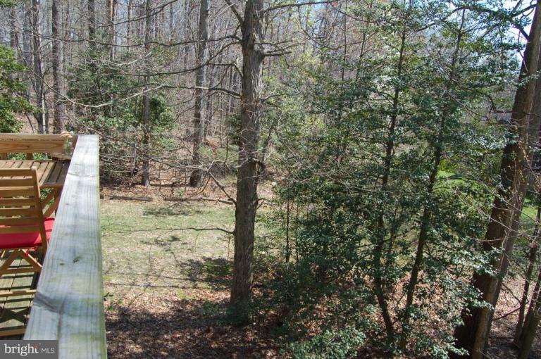 8186 Cliffview Avenue Springfield, VA 22153 - Photo 8 of 23 Deck - View from