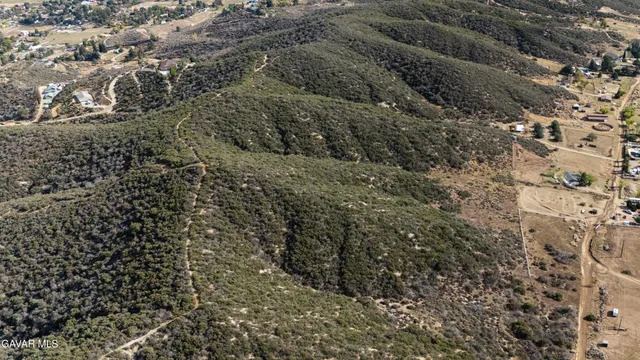 a view of a dry yard