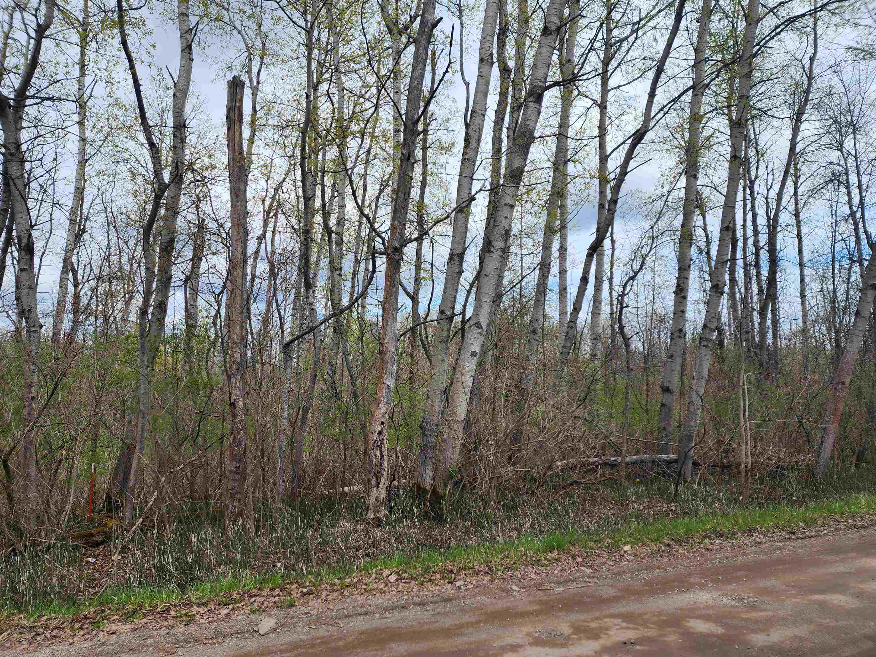 0 River Road Omer, MI 48749 - Photo 5 of 10