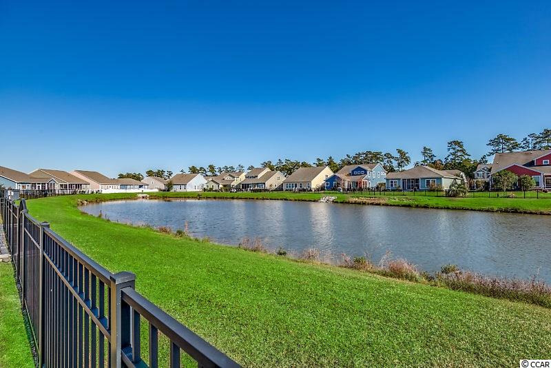 335 Simplicity Drive Murrells Inlet, SC 29576 - Photo 3 of 40