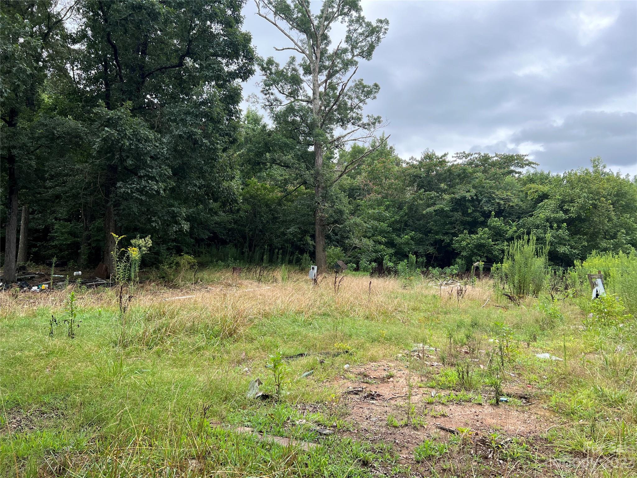 14.2-ac Tabor Road Olin, NC 28660 - Photo 1 of 7 Gallery Image 1