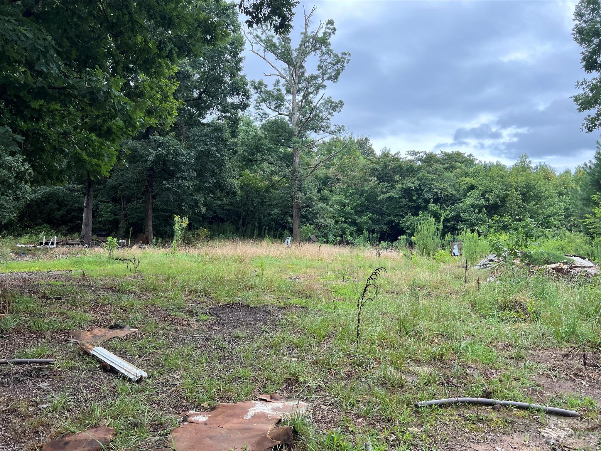14.2-ac Tabor Road Olin, NC 28660 - Photo 4 of 7 Gallery Image 4