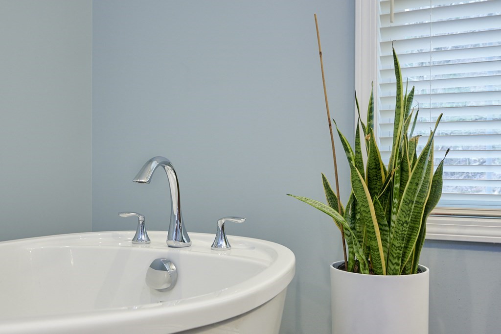 5 Goshen Road Williamsburg, MA 01096 - Photo 21 of 40 Gallery Image 21