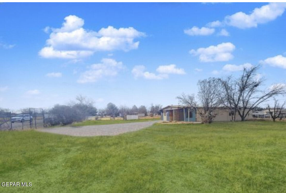 12320 Argentite Street Clint, TX 79836 - Photo 5 of 10 a view of a big yard with palm trees