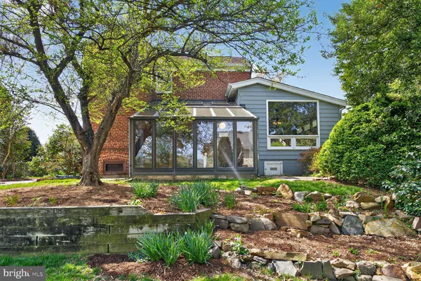 a view of a yard with plants and trees
