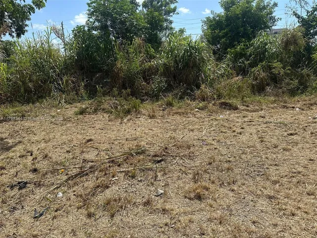 a view of a dry yard with trees