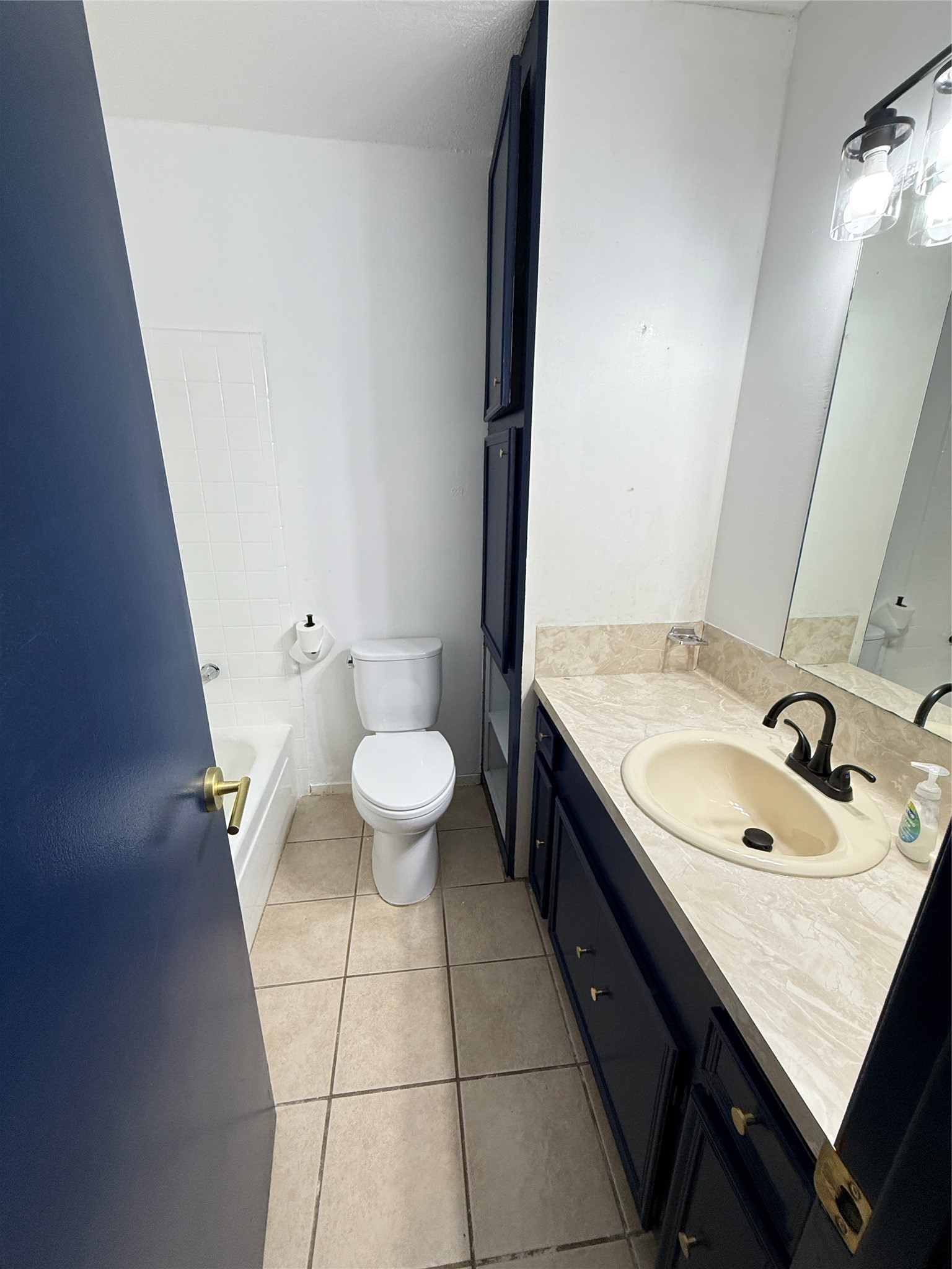 1005 Doris Lane Cedar Park, TX 78613 - Photo 16 of 19 a bathroom with a sink a toilet and mirror