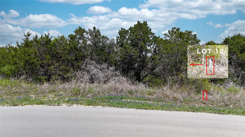 8343 Forrest Avenue Cleburne, TX 76033 - Photo 4 of 4 a street view