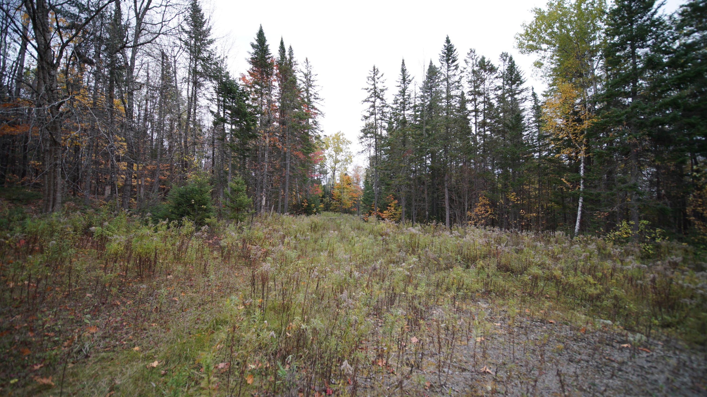 1093 Estabrook Road Amity, ME 04471 - Photo 22 of 32 DSC07624