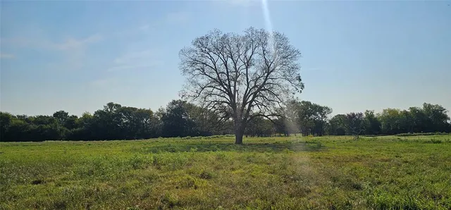 a view of a lake with a yard