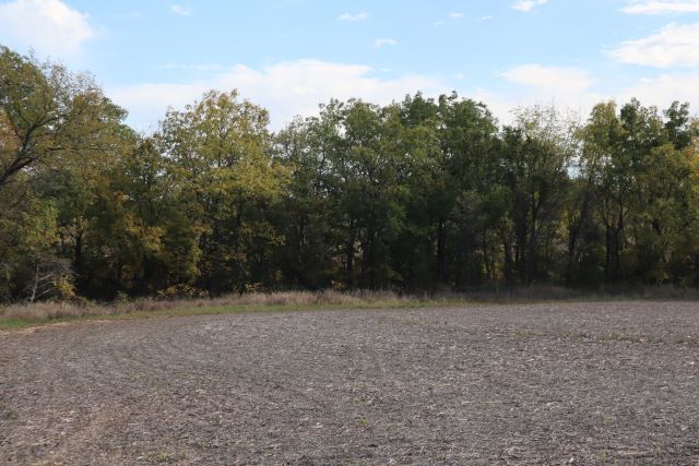 0 Creek Ridge Drive Dixon, IL 61021 - Photo 5 of 6 a view of a field with trees in the background