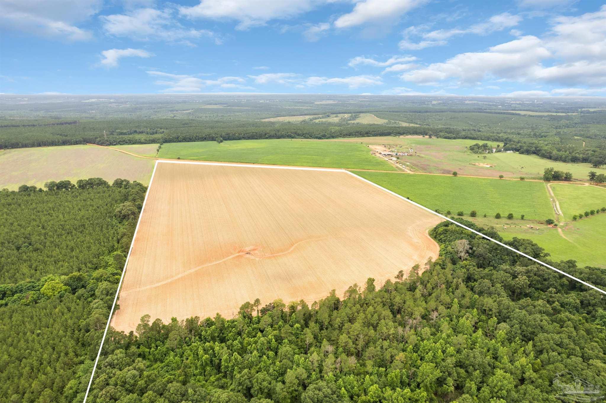 0 Old Stage Road Repton, AL 36475 - Photo 2 of 27