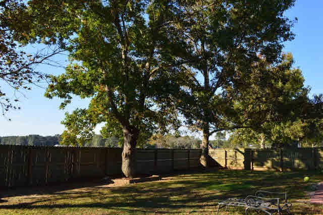 639 Fulton Loop Foley, AL 36535 - Photo 14 of 17