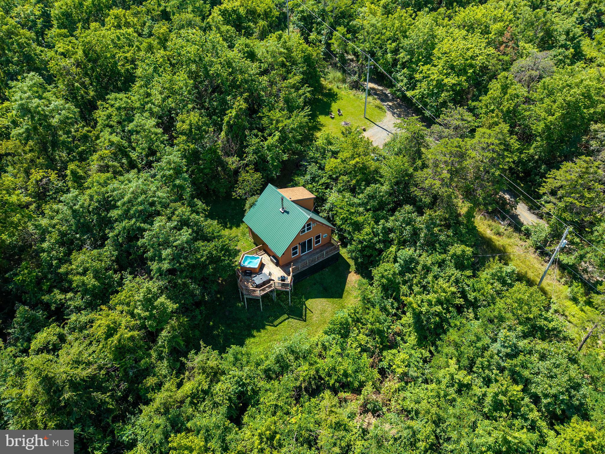707 Overlook Drive Rileyville, VA 22650 - Photo 70 of 94