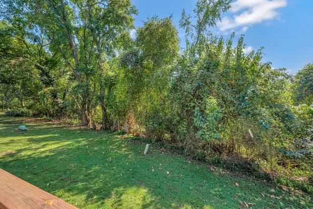 a view of a grassy field with trees