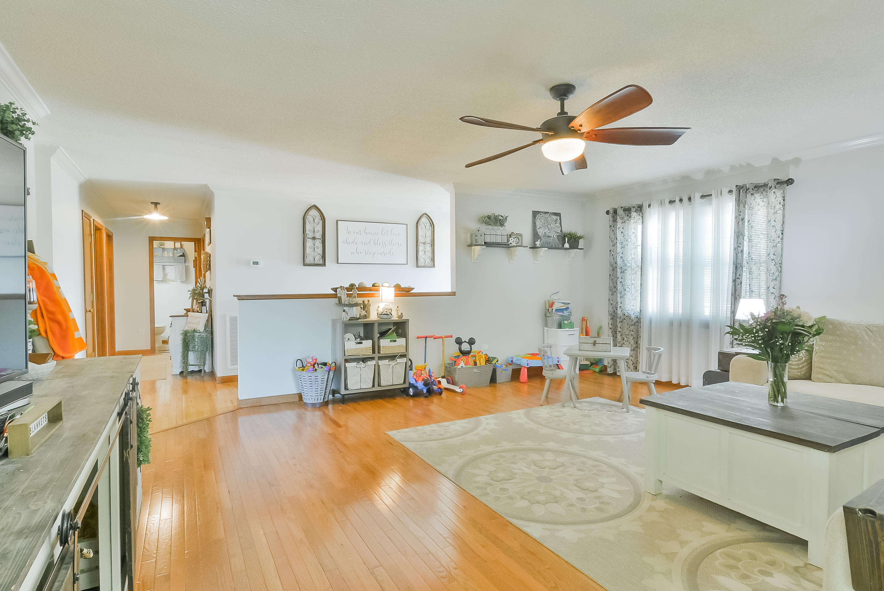 218 Springview Drive Gray, TN 37615 - Photo 11 of 50 TRB_0038