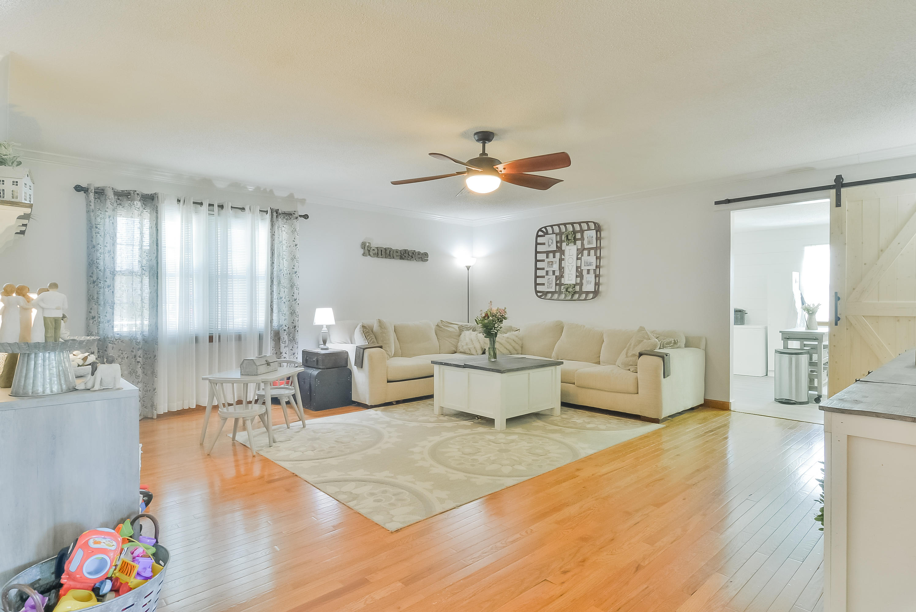 218 Springview Drive Gray, TN 37615 - Photo 14 of 50 TRB_0035