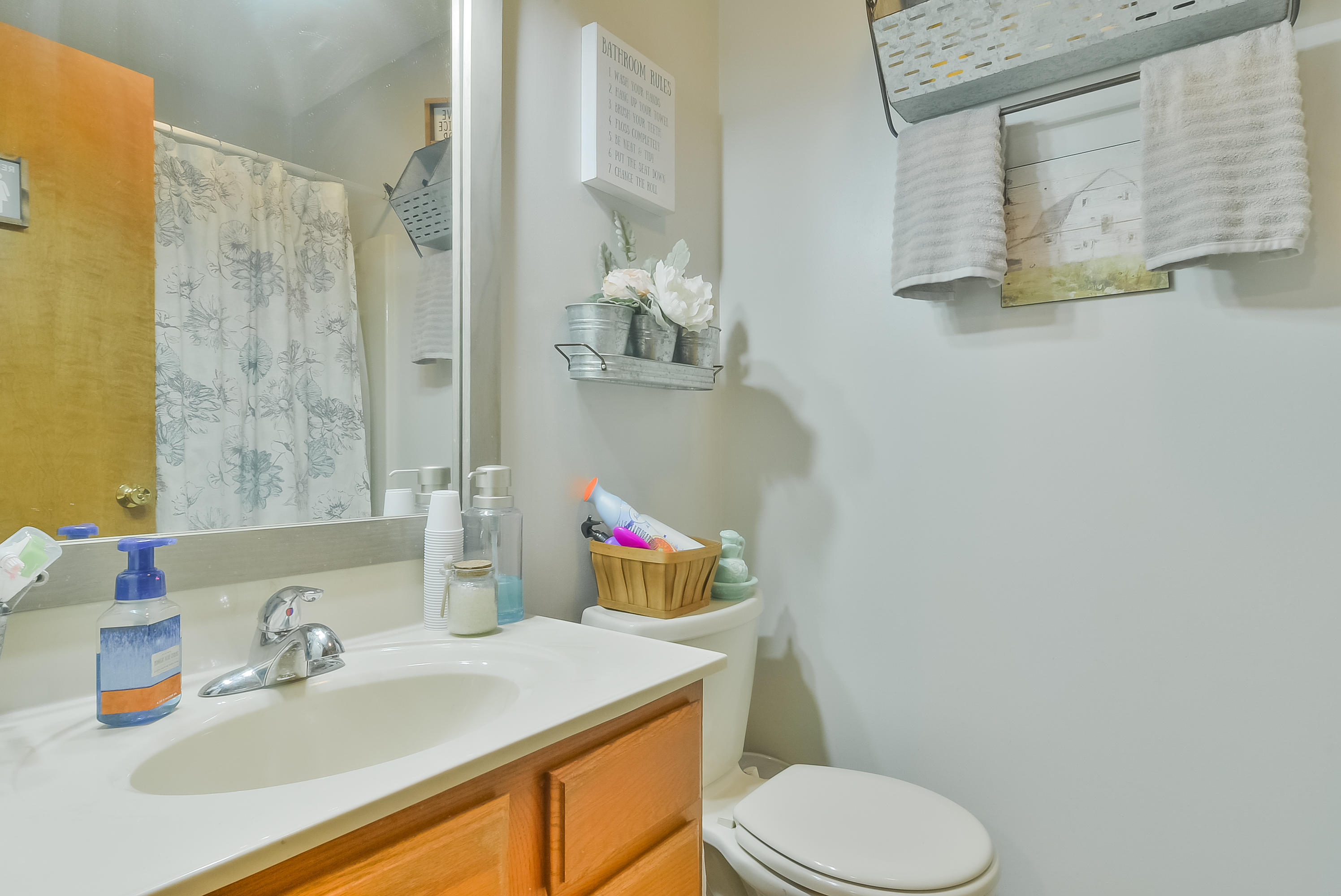 218 Springview Drive Gray, TN 37615 - Photo 27 of 50 TRB_0009