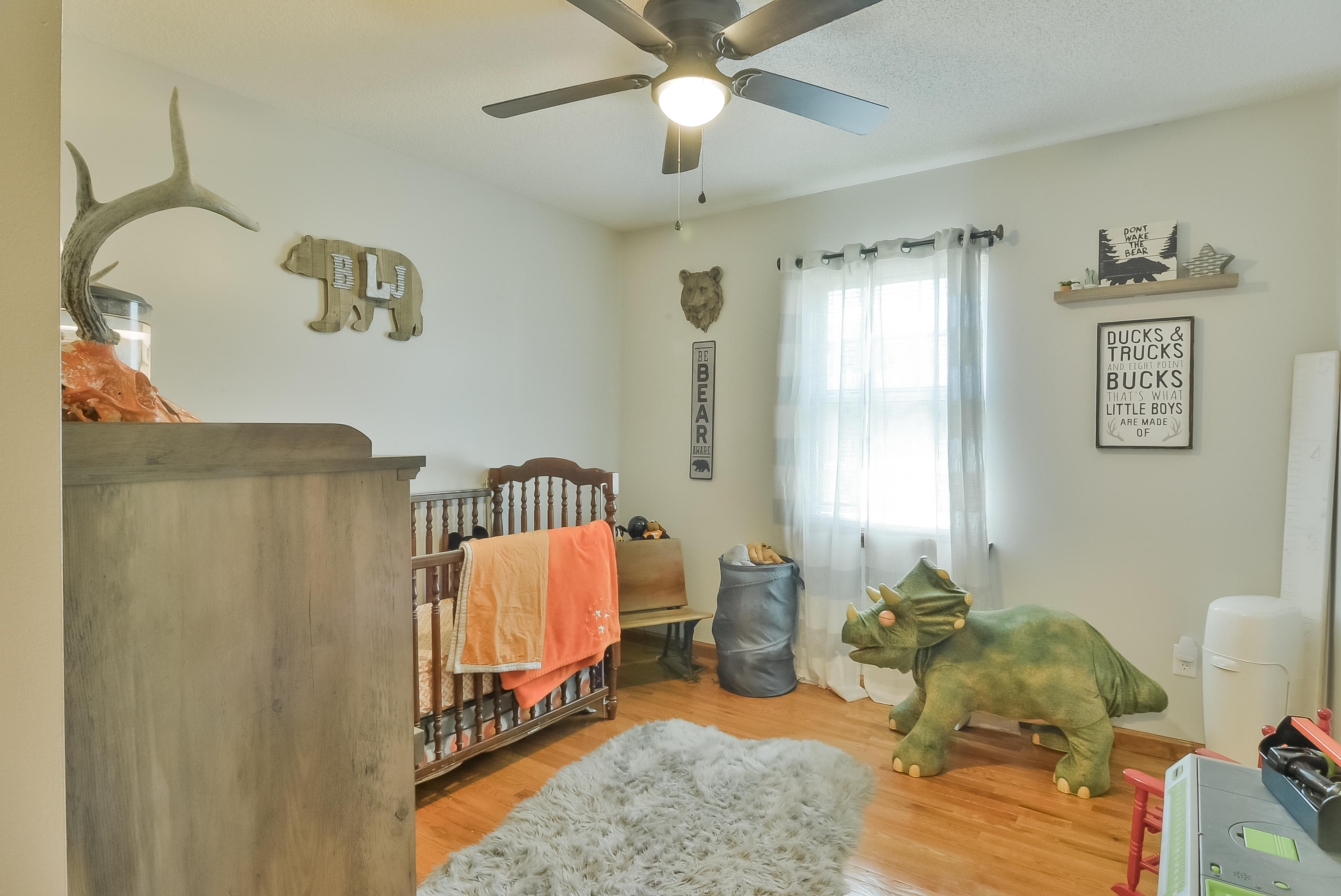 218 Springview Drive Gray, TN 37615 - Photo 30 of 50 TRB_0005
