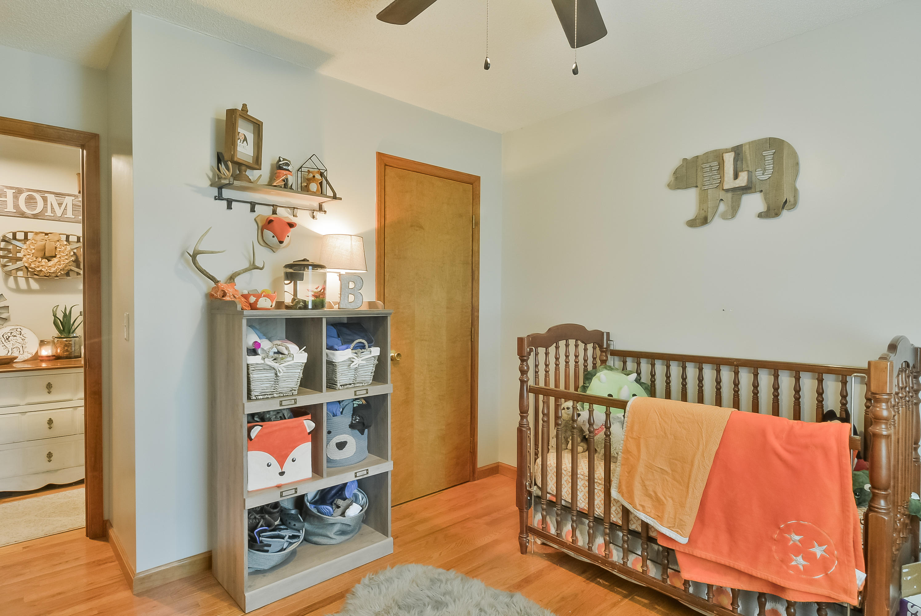 218 Springview Drive Gray, TN 37615 - Photo 41 of 50 TRB_0006