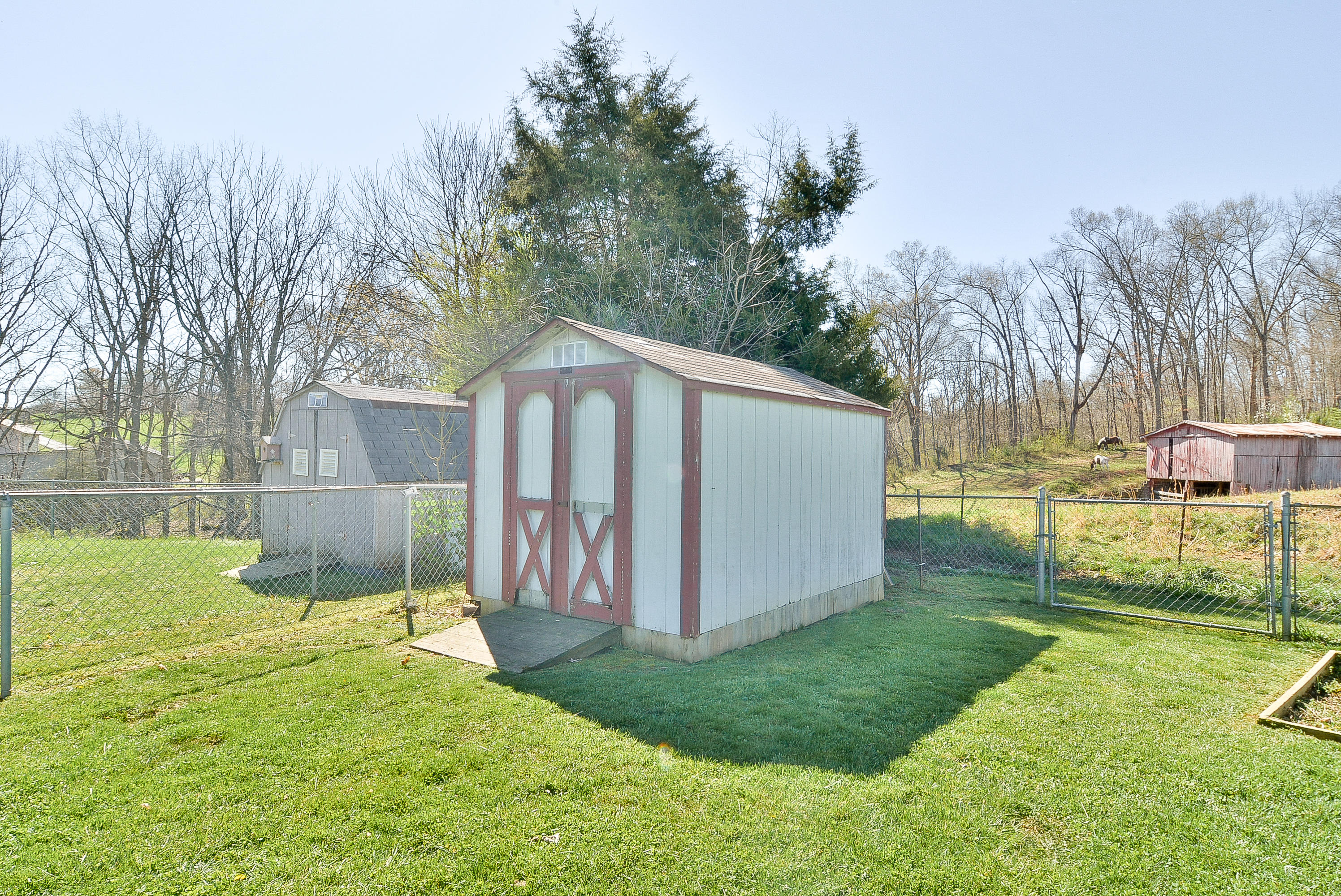 218 Springview Drive Gray, TN 37615 - Photo 48 of 50 TRB_9953