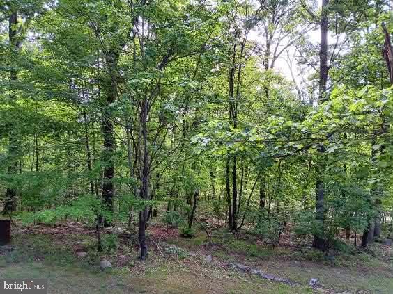 778 Falconwood Road Paw Paw, WV 25434 - Photo 25 of 25