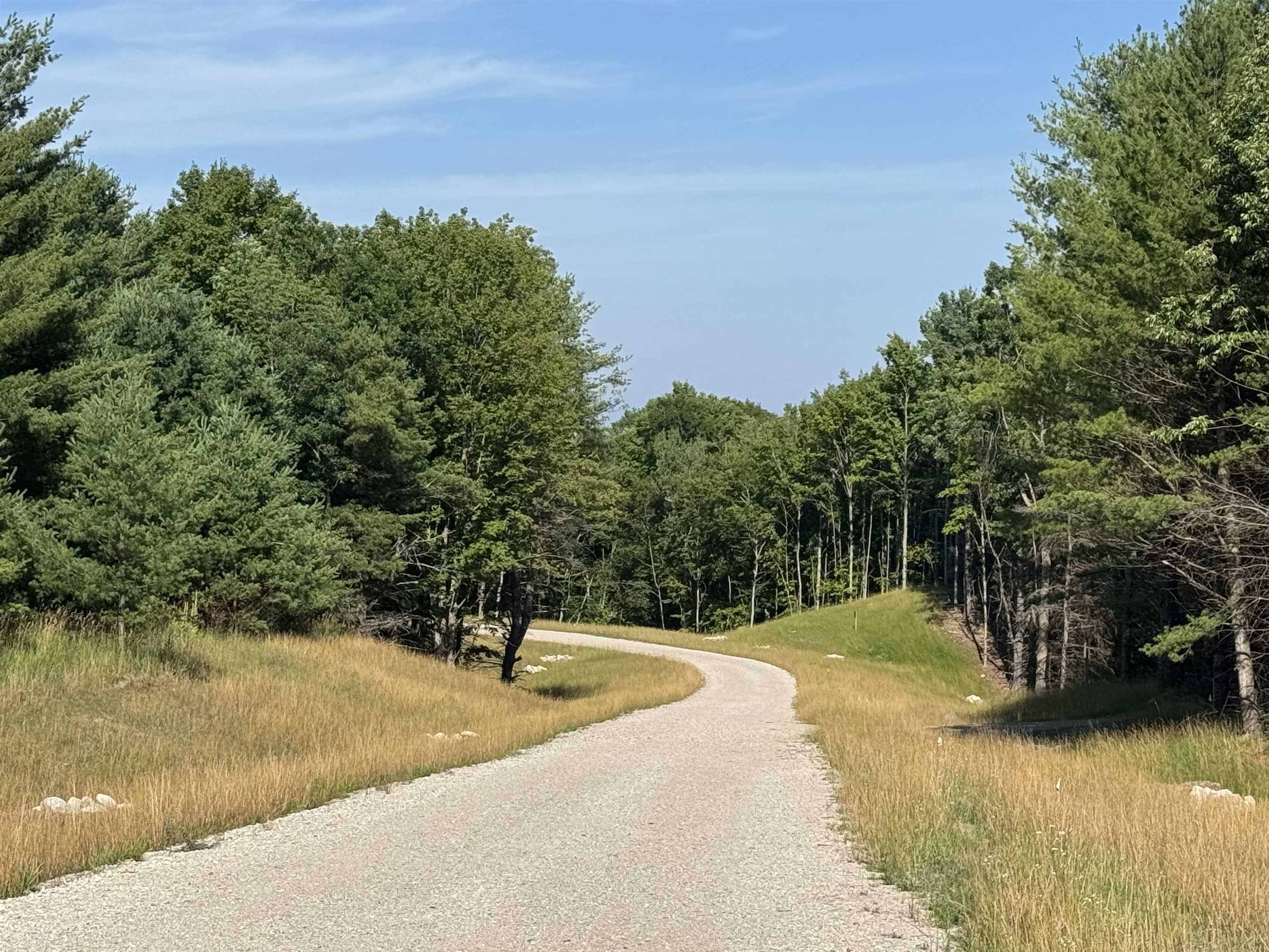 Lot #3 East Bellinger Road Cedar, MI 49621 - Photo 13 of 17 1948109-02bcbb68-b1ae-497d-8a44-24059ad59bd0.JPG