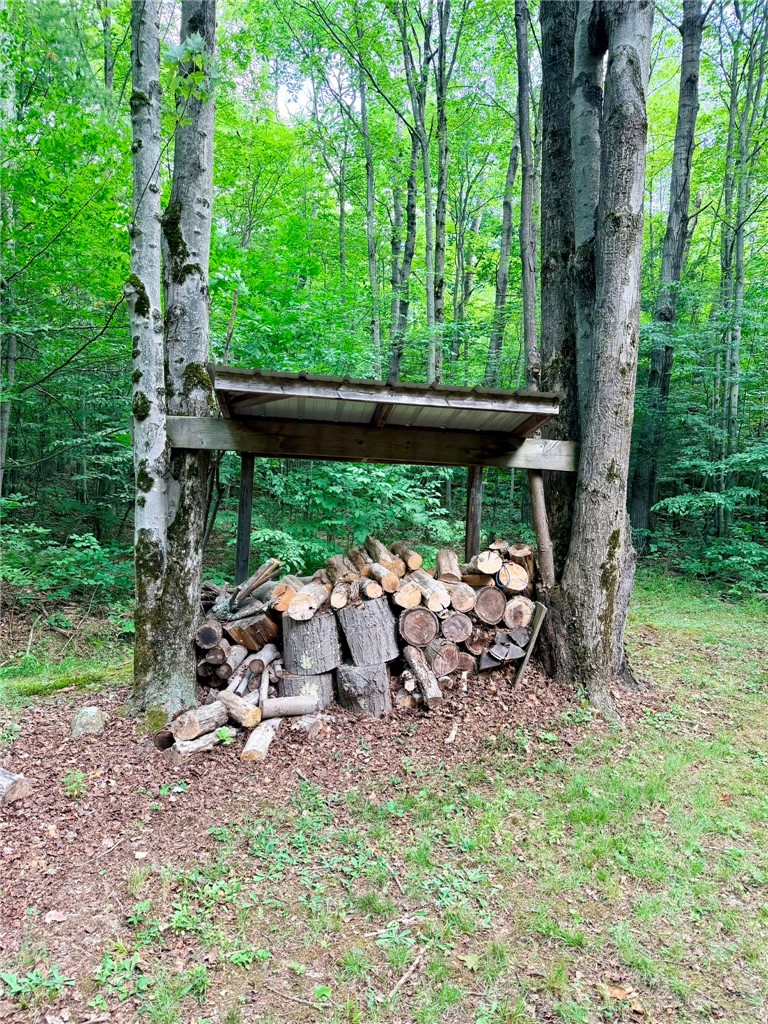 1667 Coon Hollow Road Orange, NY 14812 - Photo 14 of 41 No shortage of firewood here!