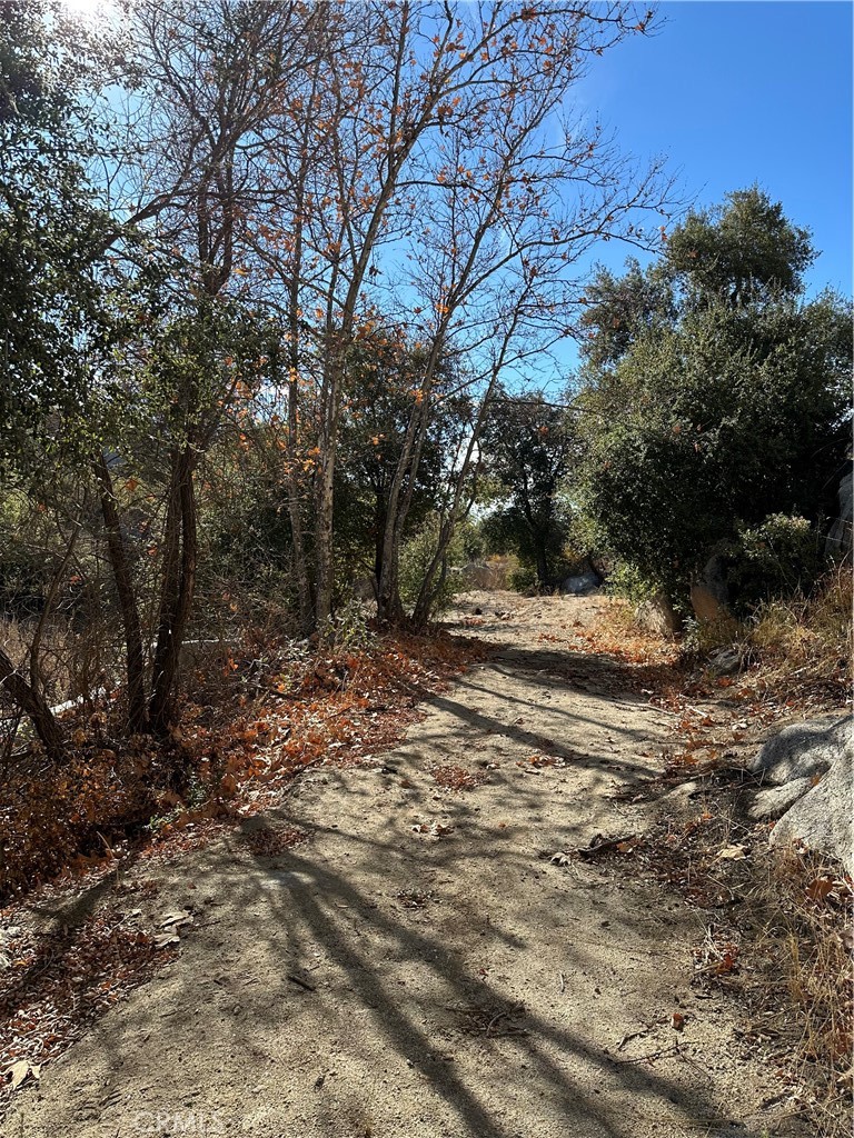 0 Avenida Sierra Rojo Road Hemet, CA 92544 - Photo 2 of 10 a view of a tree in the middle of a yard