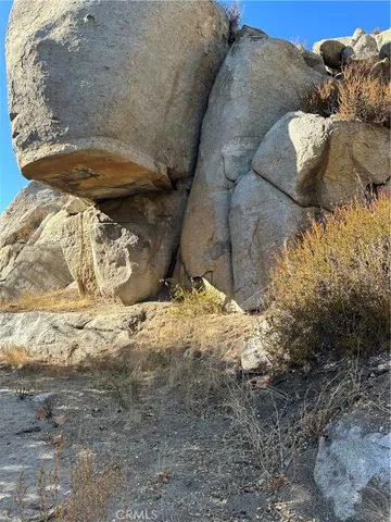 a view of a yard with plants and trees
