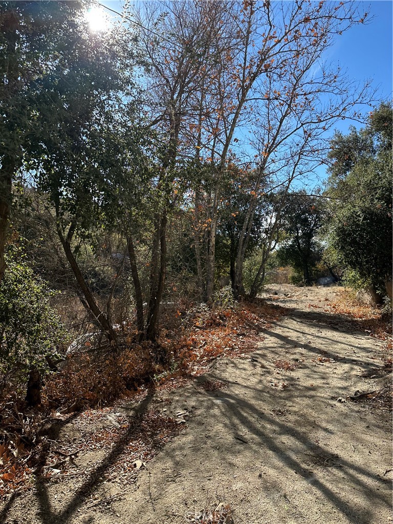 0 Avenida Sierra Rojo Road Hemet, CA 92544 - Photo 5 of 10 a view of a yard with plants and trees