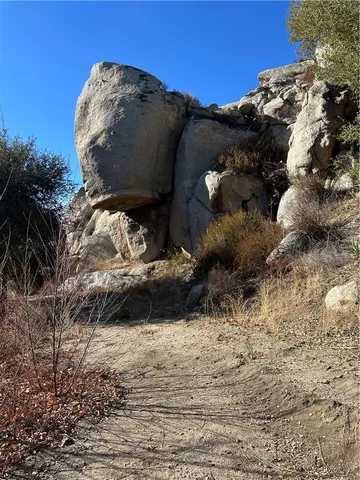 a view of a dry yard with trees