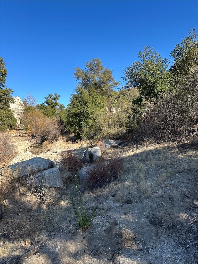 0 Avenida Sierra Rojo Road Hemet, CA 92544 - Photo 8 of 10 a view of a dry yard with trees