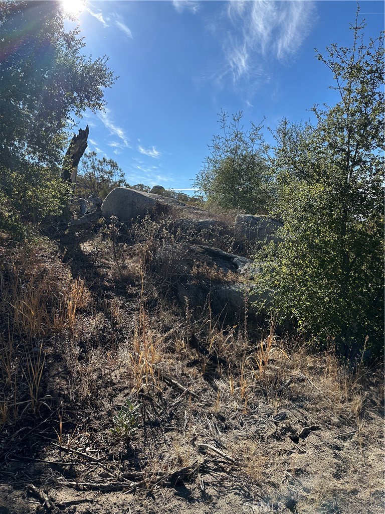 0 Avenida Sierra Rojo Road Hemet, CA 92544 - Photo 9 of 10 a view of a covered with trees in the background