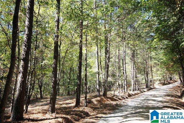 0 County Road 928, Unit 19 Delta, AL 36258 - Photo 18 of 43