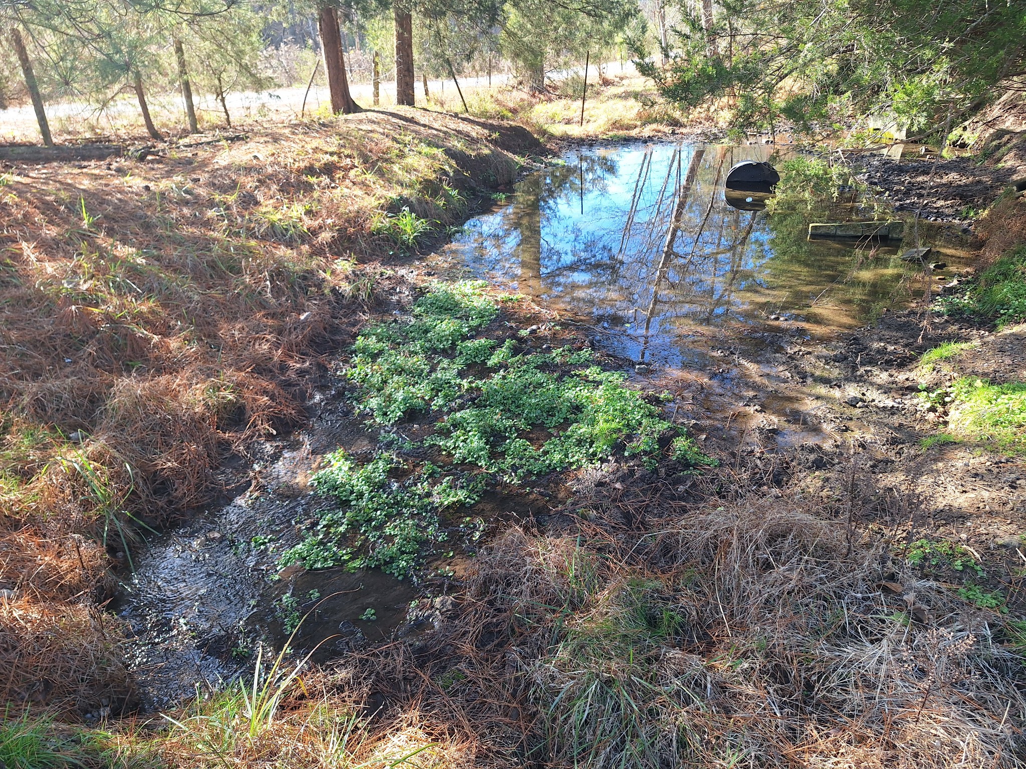 32 North Bradley Road Lawrenceburg, TN 38464 - Photo 43 of 93