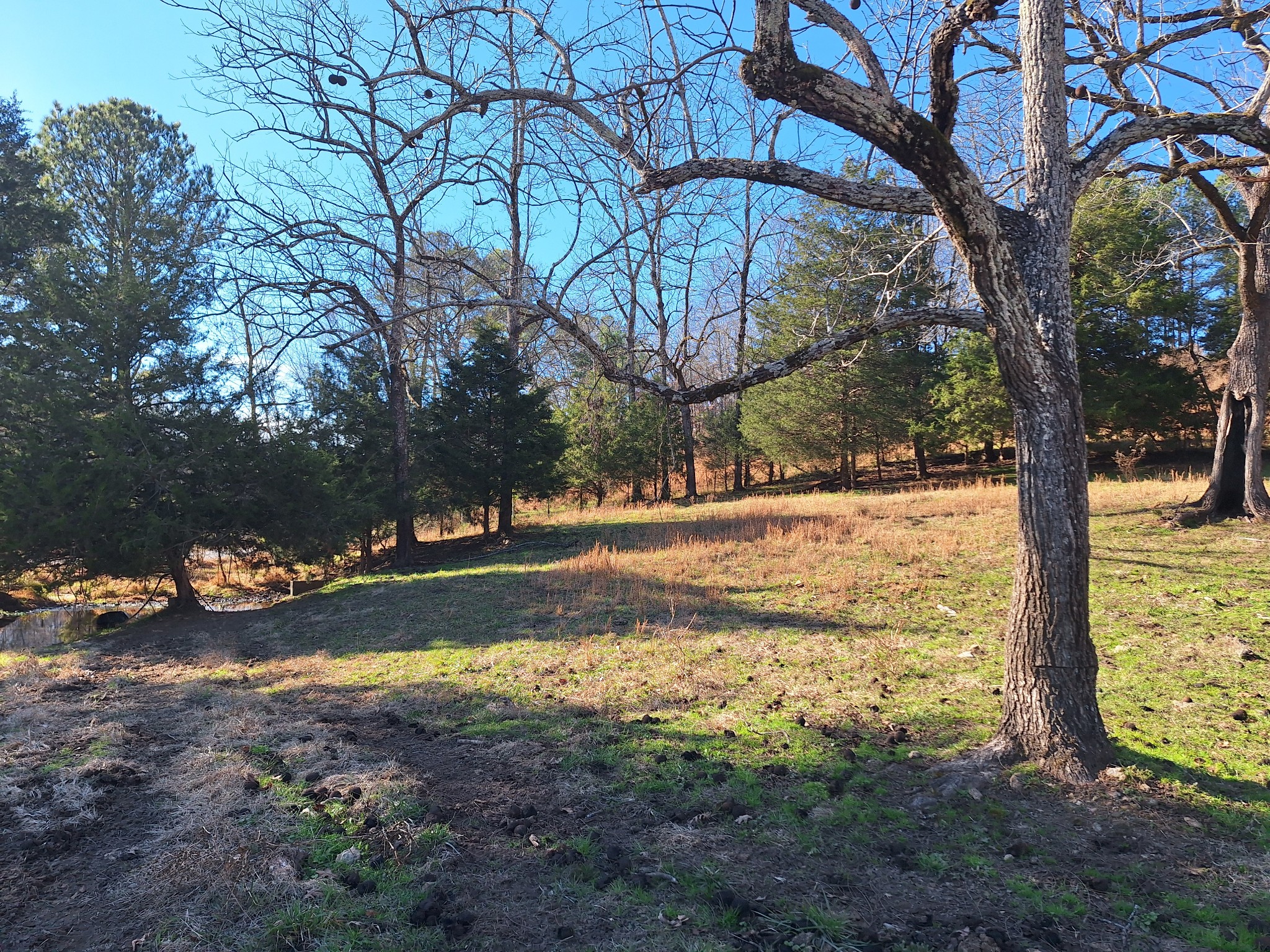 32 North Bradley Road Lawrenceburg, TN 38464 - Photo 45 of 93