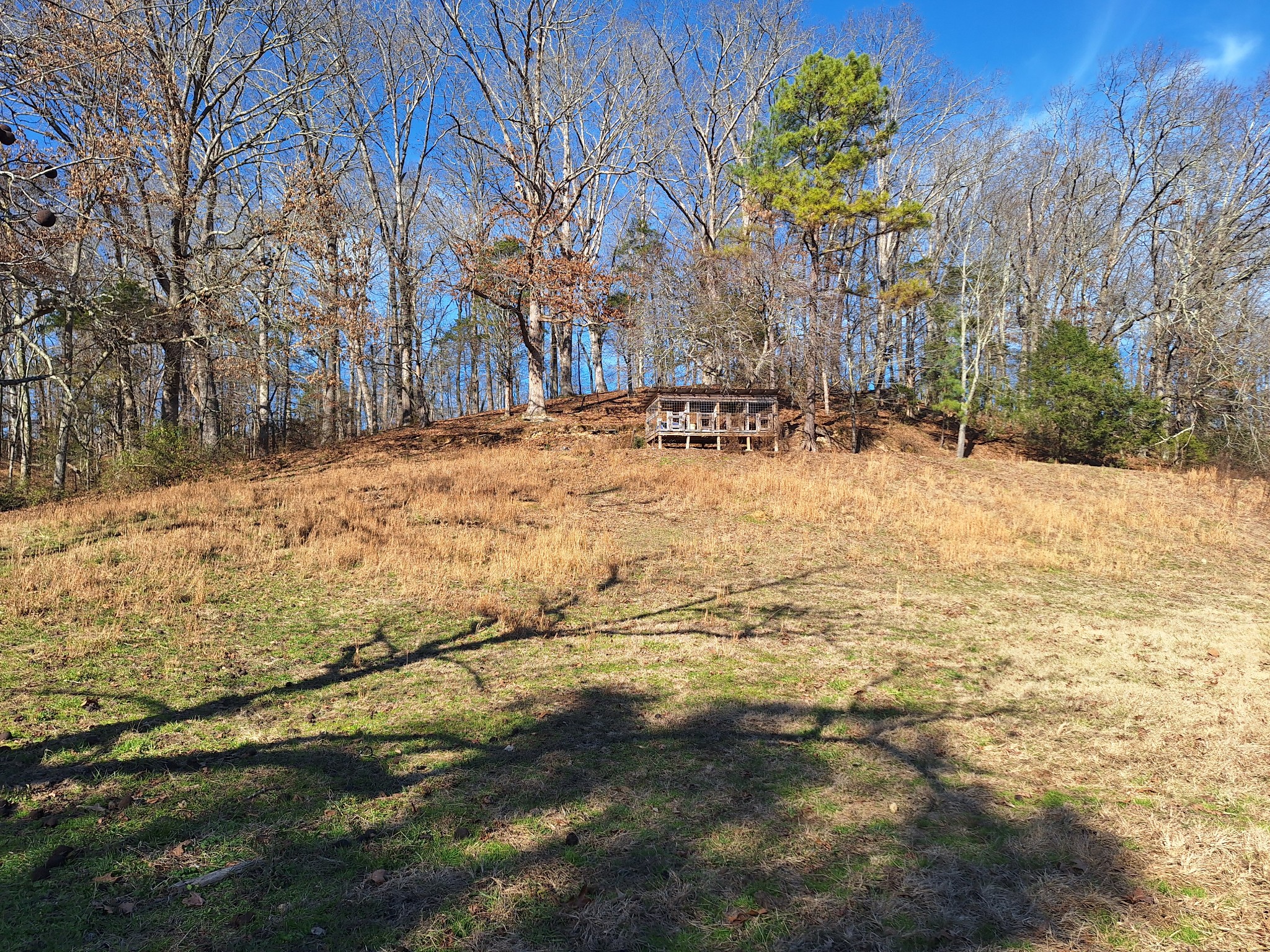 32 North Bradley Road Lawrenceburg, TN 38464 - Photo 46 of 93