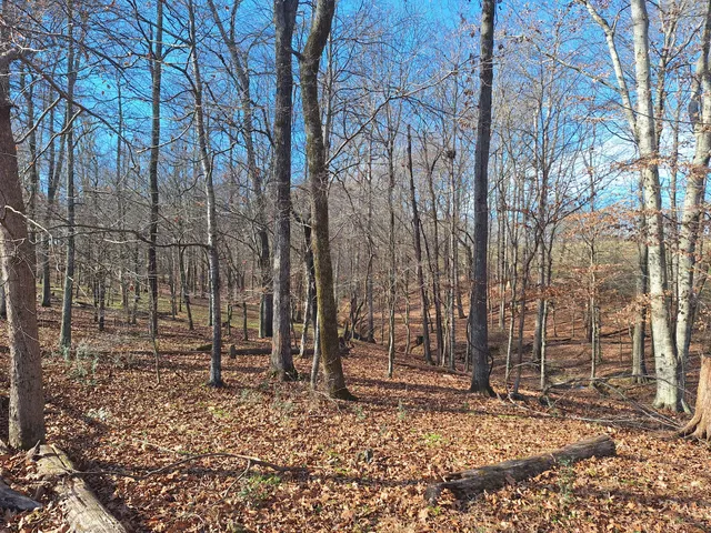 $435,000 | 32 North Bradley Road, Lawrenceburg, TN 38464