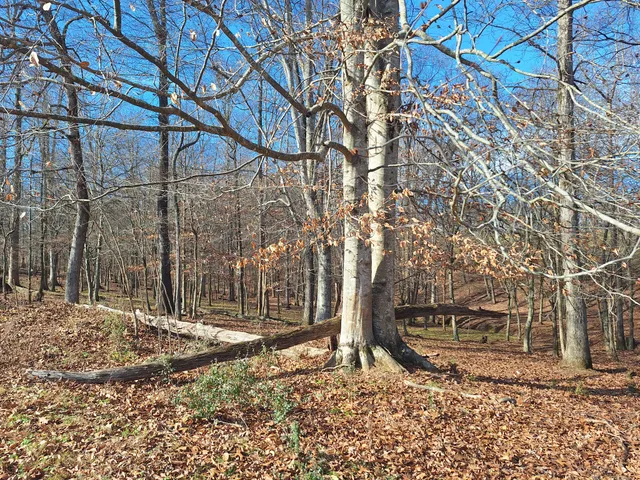 $435,000 | 32 North Bradley Road, Lawrenceburg, TN 38464