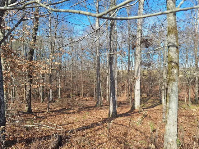 $435,000 | 32 North Bradley Road, Lawrenceburg, TN 38464