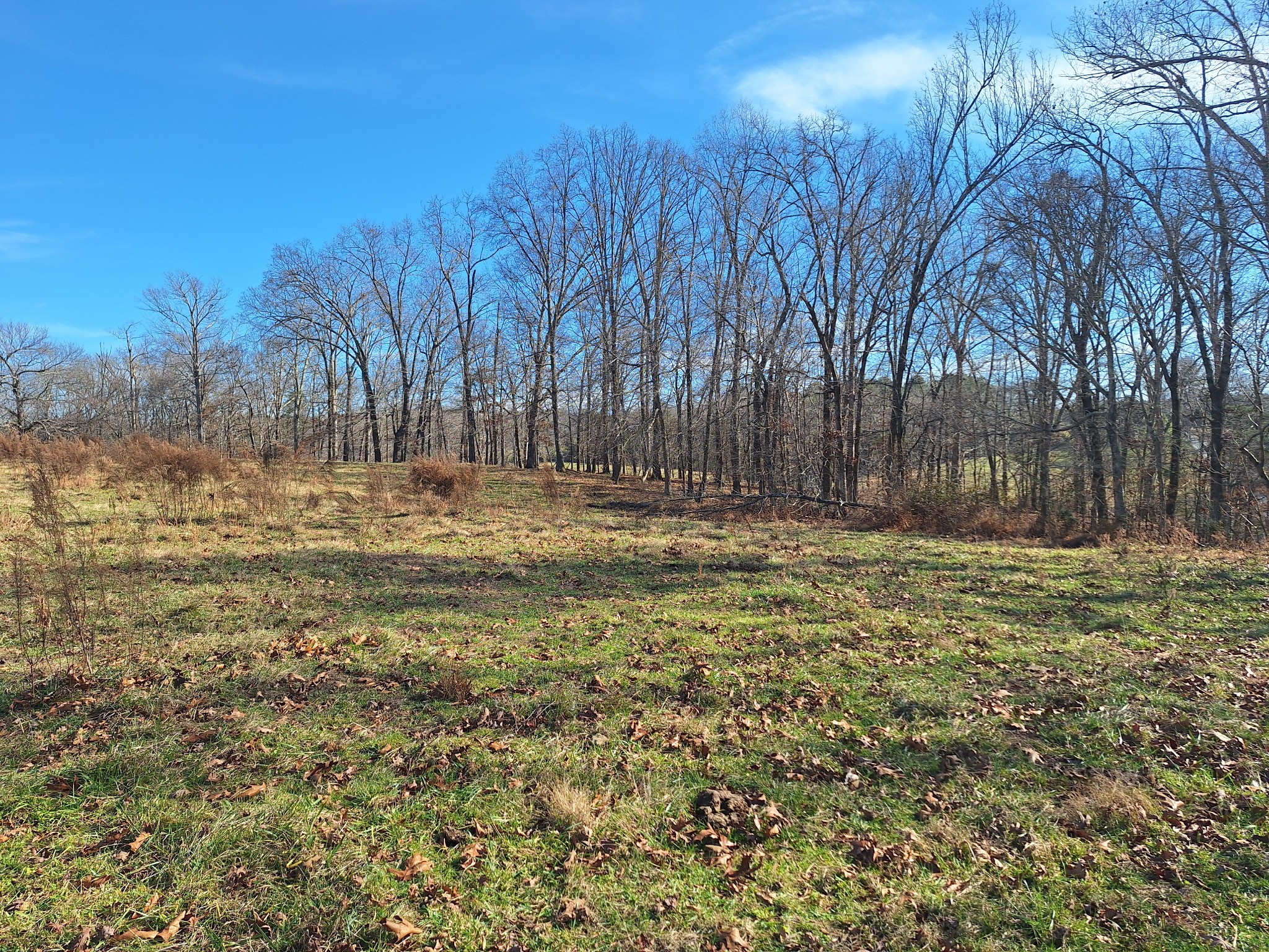 32 North Bradley Road Lawrenceburg, TN 38464 - Photo 59 of 93