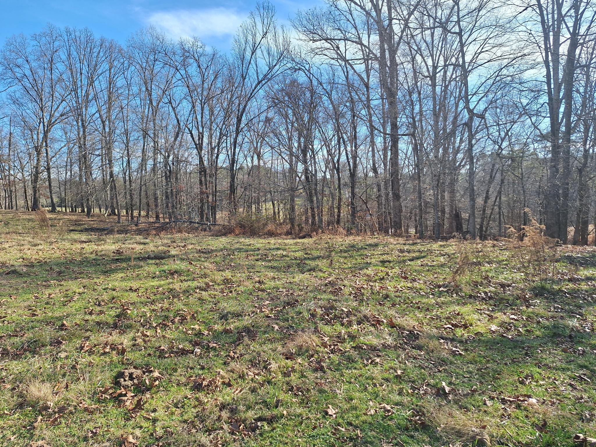 32 North Bradley Road Lawrenceburg, TN 38464 - Photo 60 of 93