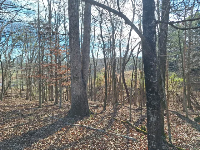 $435,000 | 32 North Bradley Road, Lawrenceburg, TN 38464